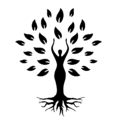 logo-katarina-lihocka